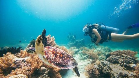 Gili Trawangan Surf Spot | Lombok - Surf Indonesia