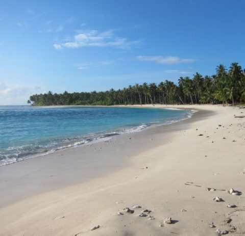 Telescopes Surf Spot | Mentawai Islands - Surf Indonesia