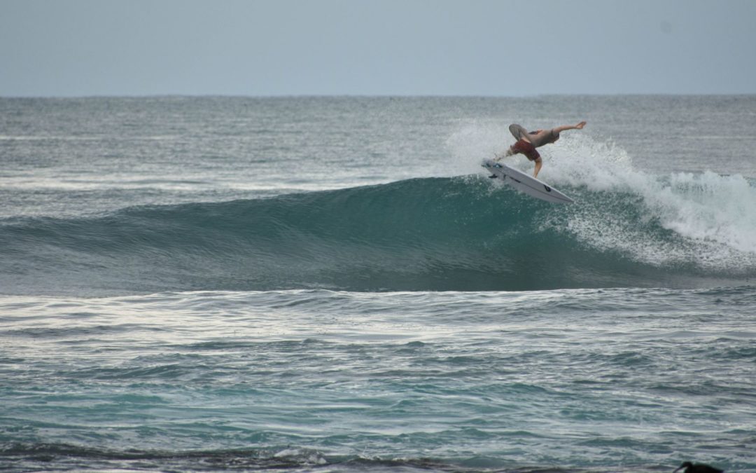 Roxie’s Right Surf Spot